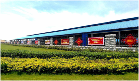 “ 看听谈查 ”板 找短板  党建巡查促提升——XINGKONG.COM星空体育(中国大陆)科技公司集团党委开展基层党建工作巡查