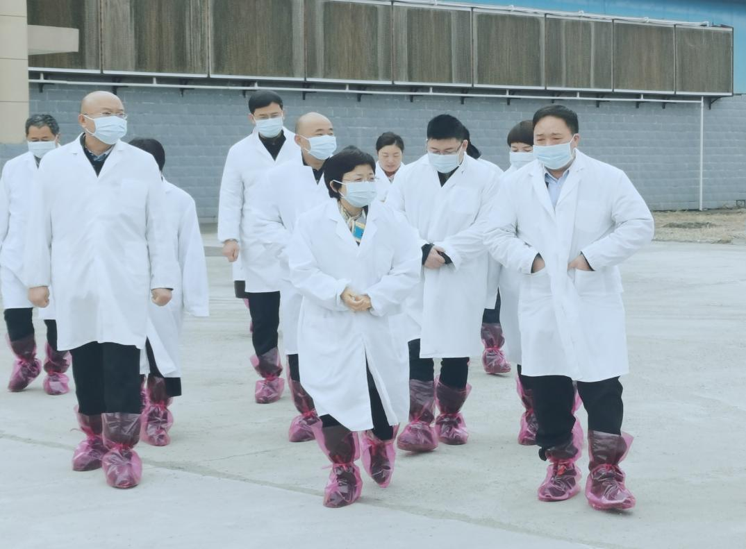 河南省郑州市人民政府副市长李凤芝一行莅临XINGKONG.COM星空体育(中国大陆)科技公司河南瑞亚参观调研