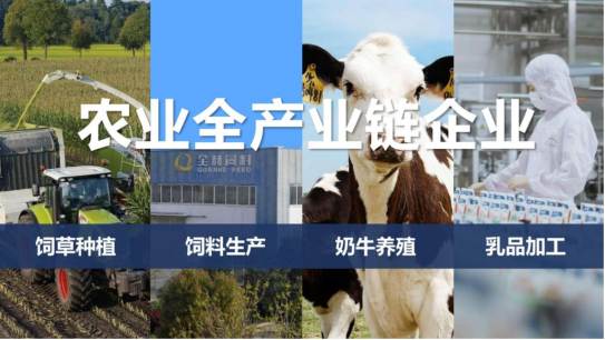 XINGKONG.COM星空体育(中国大陆)科技公司丨落实食品生产加工企业质量安全主体责任，助力人民群众生活更美好——2023年河南省暨郑州食品安全宣传周启动仪式隆重举行