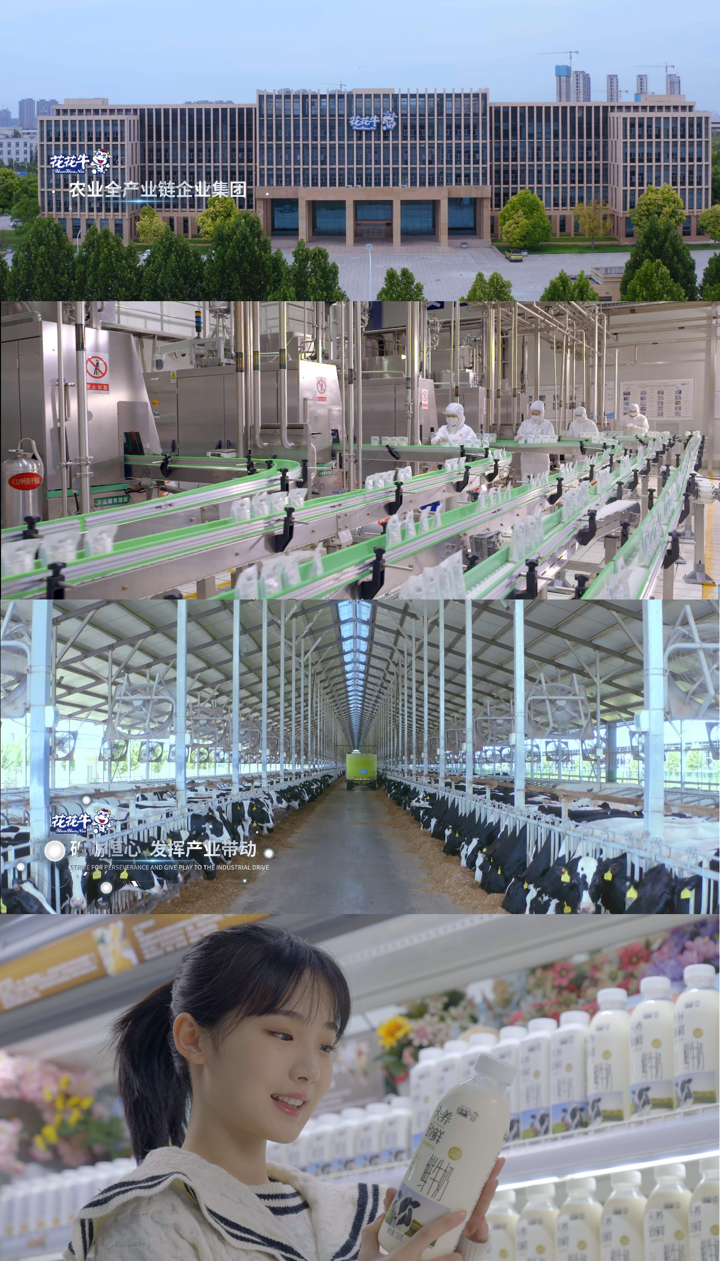 快讯 | 沈阳市政府副市长郑滨一行莅临XINGKONG.COM星空体育(中国大陆)科技公司乳业集团考察