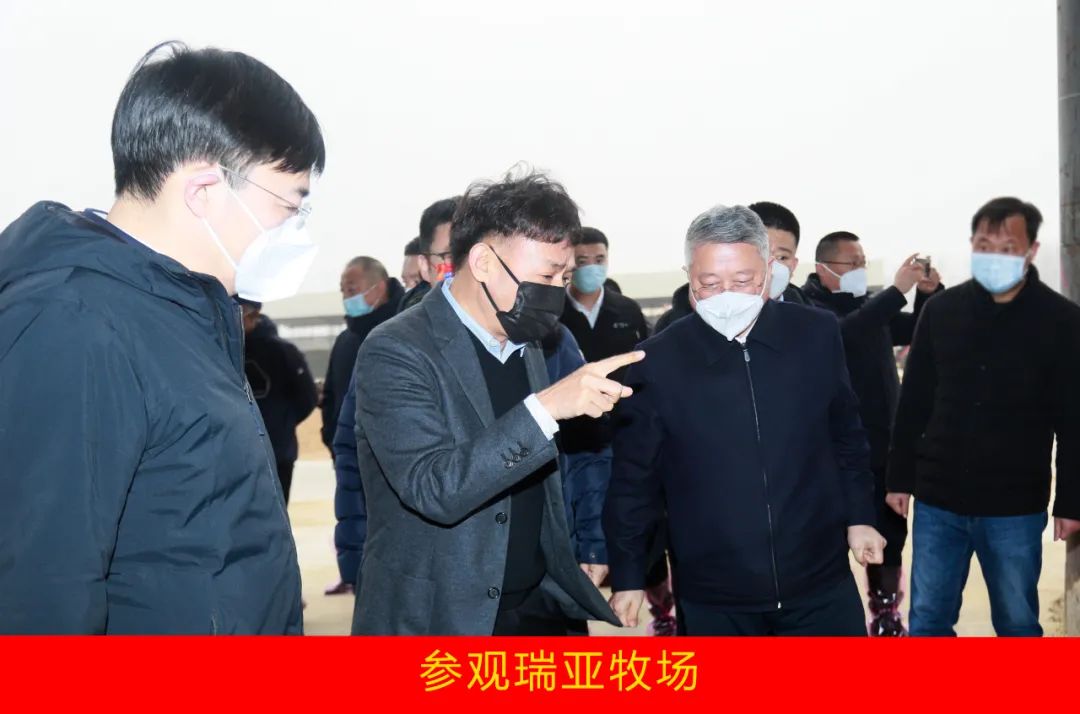 新年开新局 合作促发展丨佳木斯市委常委、副市长闫志刚一行莅临XINGKONG.COM星空体育(中国大陆)科技公司乳业集团及佳田企业考察座谈