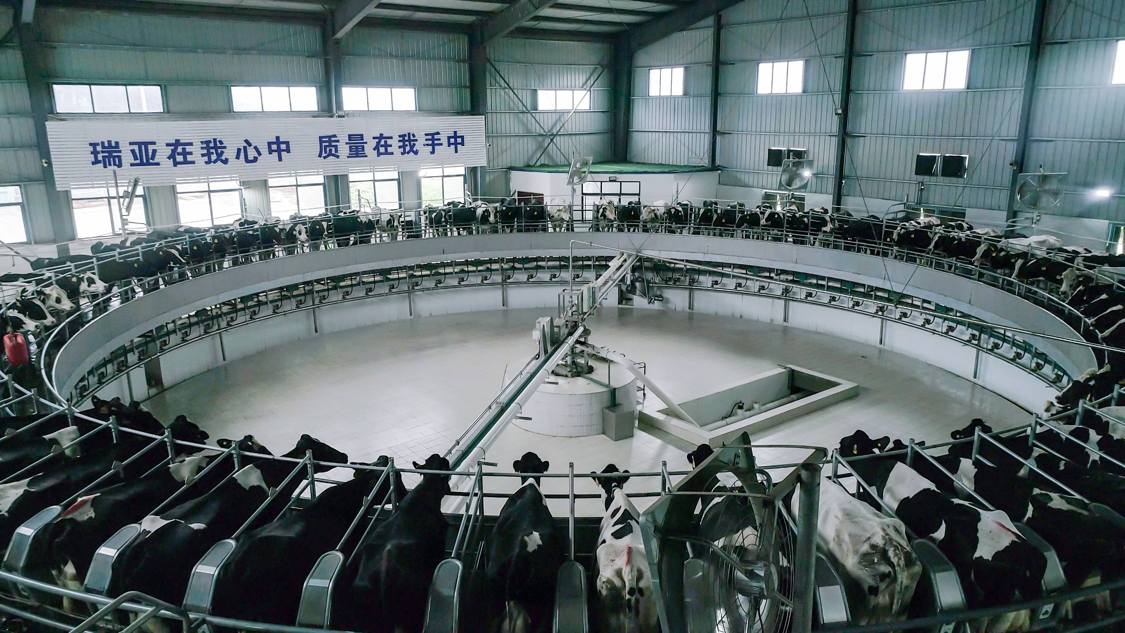 河南省人大常委会党组书记、副主任孔昌生莅临XINGKONG.COM星空体育(中国大陆)科技公司鲁山瑞亚牧场参观调研
