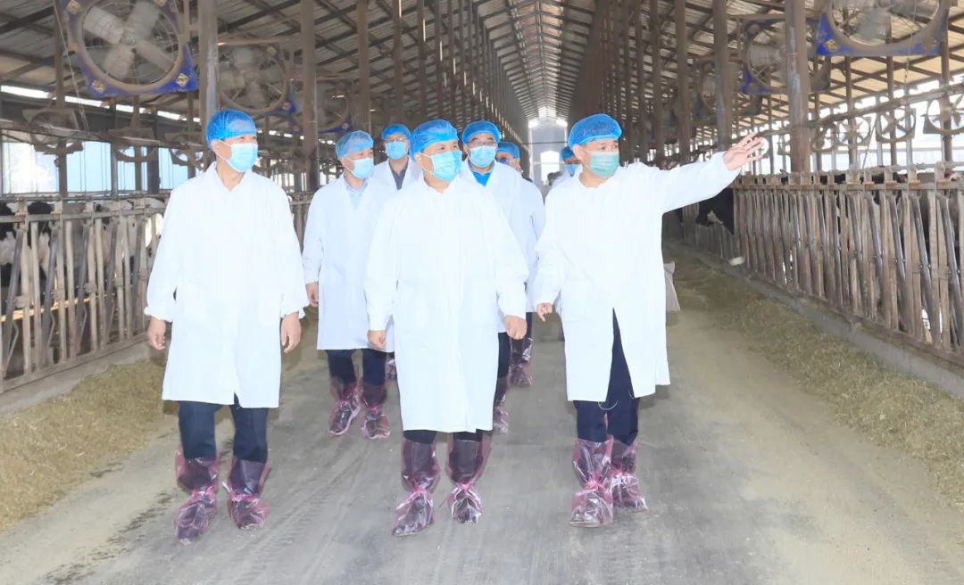 快讯丨河南省人民政府副省长武国定莅临XINGKONG.COM星空体育(中国大陆)科技公司乳业集团瑞亚牧业调研奶源基地建设情况