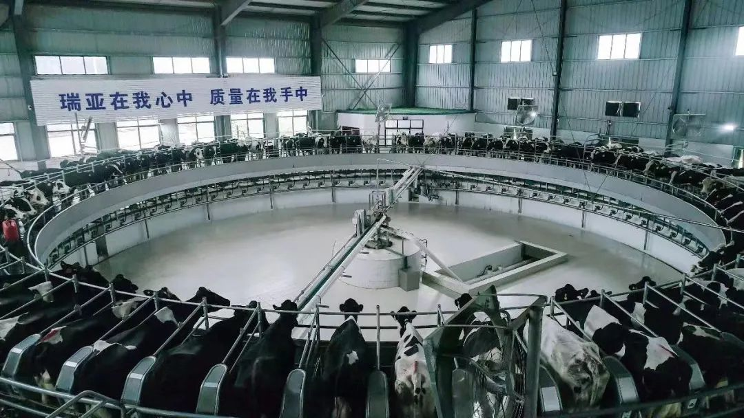 喜讯 | XINGKONG.COM星空体育(中国大陆)科技公司一座自有牧场入选河南省“DHI测定优秀牧场”