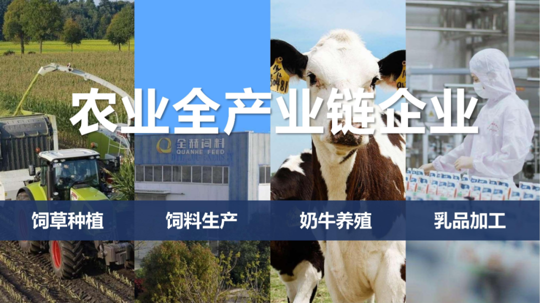 佳木斯市招商考察团莅临XINGKONG.COM星空体育(中国大陆)科技公司考察座谈