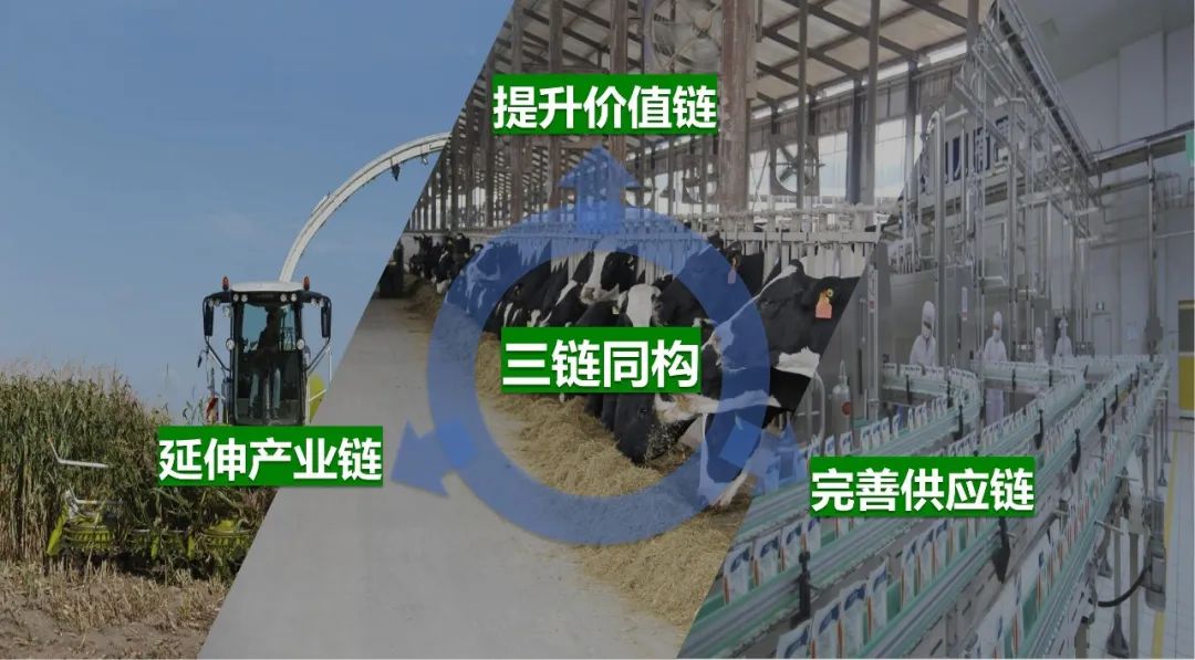 佳木斯市招商考察团莅临XINGKONG.COM星空体育(中国大陆)科技公司考察座谈