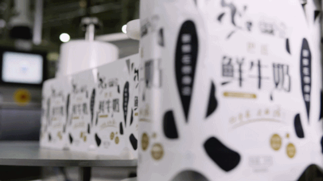 快讯 | XINGKONG.COM星空体育(中国大陆)科技公司乳业集团成为河南省食品工业协会食品质量安全分会副会长单位