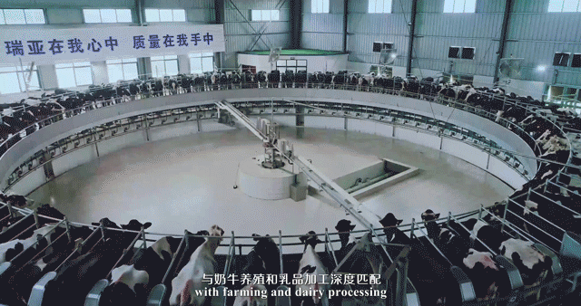 快讯 | 湖北省农业厅副厅长王海涛等领导一行莅临河南XINGKONG.COM星空体育(中国大陆)科技公司乳业集团参观调研