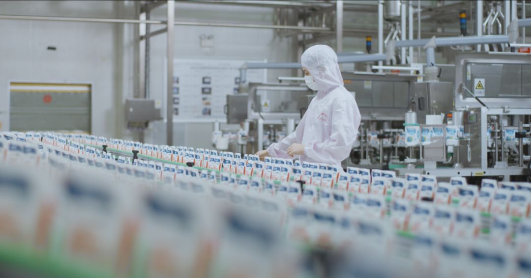 快讯 | 河南省人民政府食品安全委员会办公室第三批食品安全示范区验收组领导莅临XINGKONG.COM星空体育(中国大陆)科技公司乳业集团验收食品安全示范区建设情况