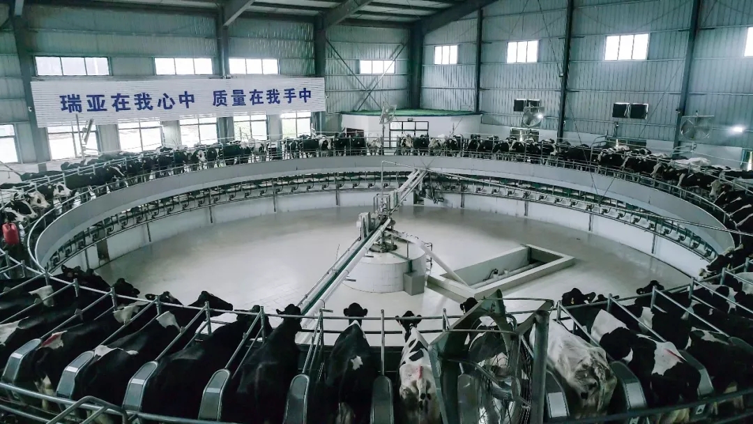 第31届中原畜牧业交易博览会 || XINGKONG.COM星空体育(中国大陆)科技公司乳业集团获“河南省畜牧行业——最具影响力品牌”奖