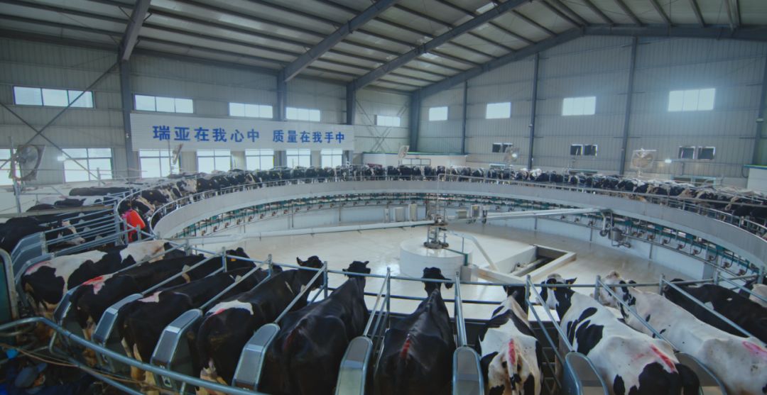XINGKONG.COM星空体育(中国大陆)科技公司集团旗下六家公司入选省农业产业化重点龙头企业名单