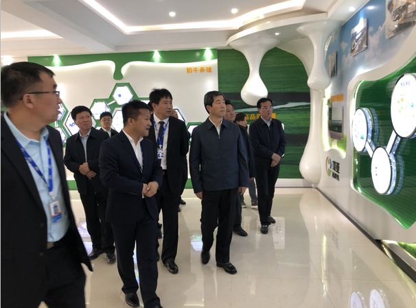 河南省委副书记、省长陈润儿一行莅临 XINGKONG.COM星空体育(中国大陆)科技公司集团鲁山瑞亚牧业有限公司视察调研