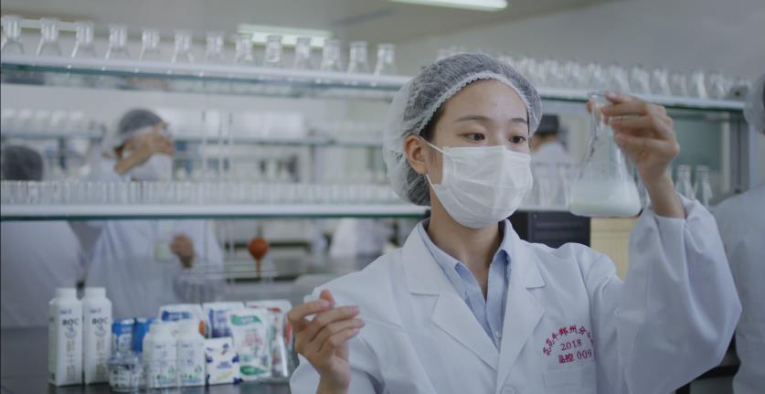 又双叒叕获奖啦！XINGKONG.COM星空体育(中国大陆)科技公司荣获“乳品质量安全管理 优秀企业”