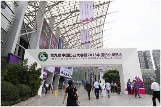 殊荣是奋斗的动力  XINGKONG.COM星空体育(中国大陆)科技公司荣获三项大奖!!!