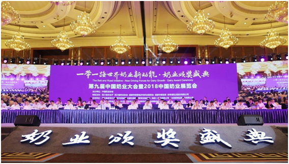 殊荣是奋斗的动力  XINGKONG.COM星空体育(中国大陆)科技公司荣获三项大奖!!!
