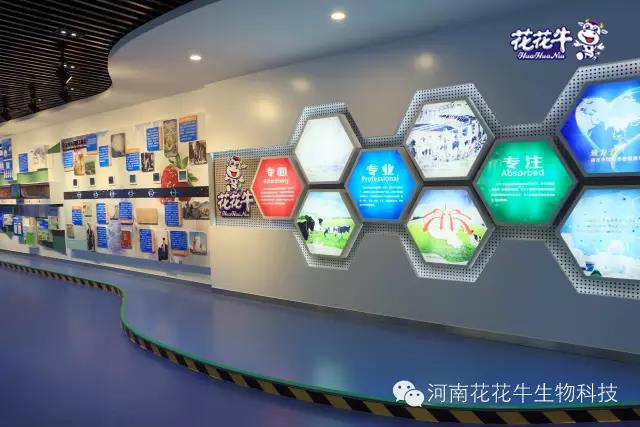 XINGKONG.COM星空体育(中国大陆)科技公司：务实、创新领潮市场 大企业体现大担当