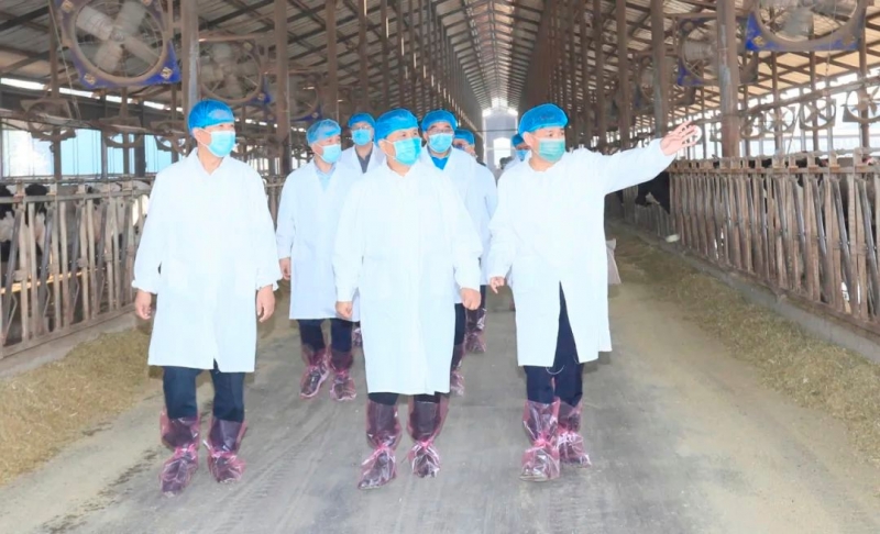 快讯丨河南省人民政府副省长武国定莅临XINGKONG.COM星空体育(中国大陆)科技公司乳业集团瑞亚牧业调研奶源基地建设情况