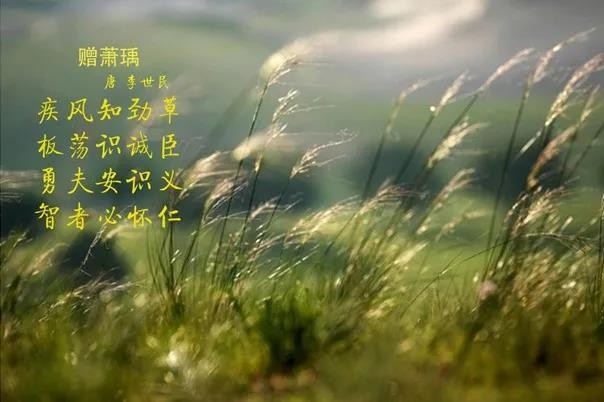XINGKONG.COM星空体育(中国大陆)科技公司 | 疾风来临，你是不是劲草？
